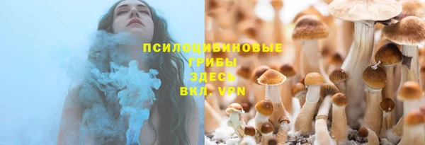 марки nbome Белая Холуница