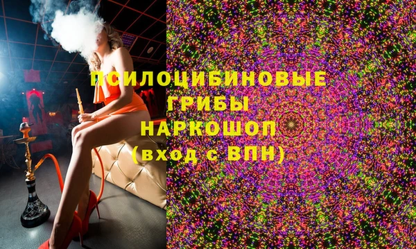 ешки Переславль-Залесский
