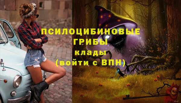соль курить ск Бугульма